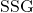 \text{SSG}
